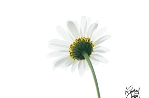 5176034-scaled