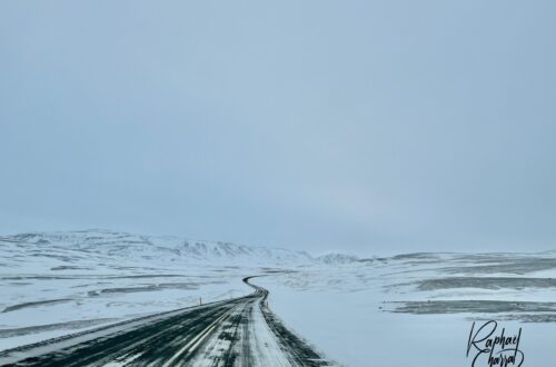 IMG_0487-scaled