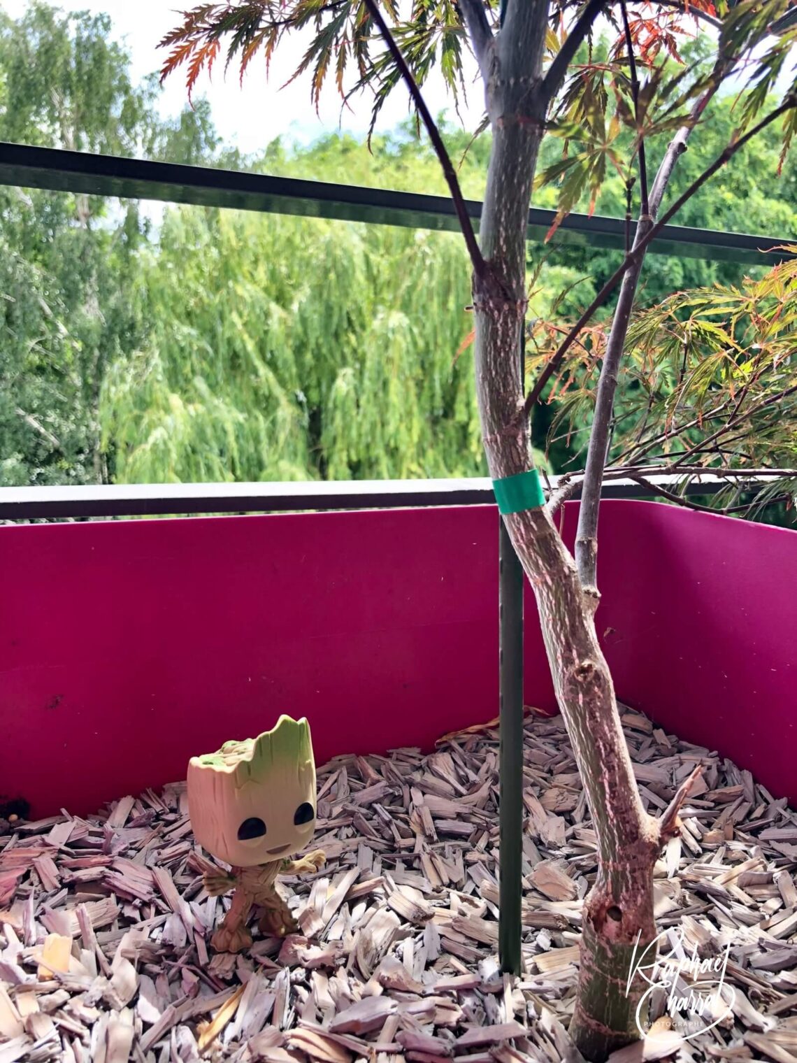 groot_se-met-au-vert