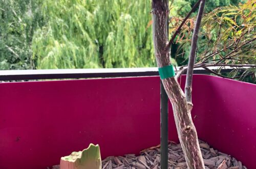 groot_se-met-au-vert