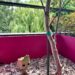 Be ready 5 groot_se-met-au-vert