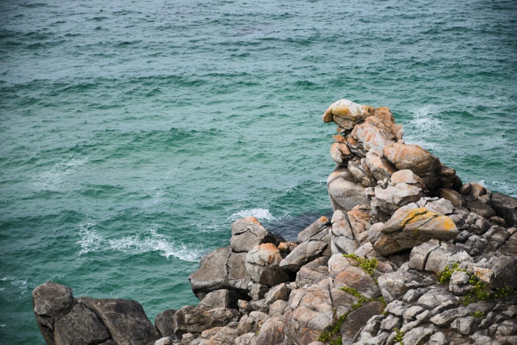On marche sur les pointes 14 DSF9758