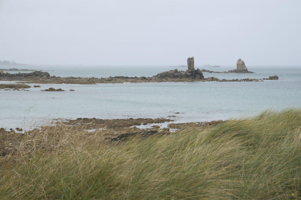 Journée détente et visite de Roscoff 2 DSF0164