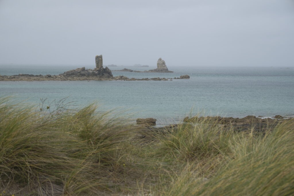 Journée détente et visite de Roscoff 4 DSF0180