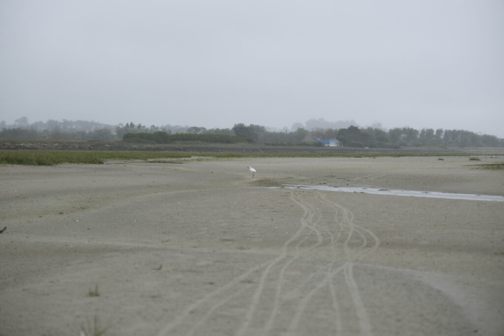 Journée détente et visite de Roscoff 10 DSF0251