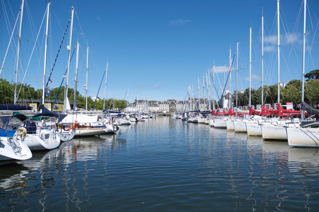 Visite de Vannes et promenade dans la réserve naturelle des Marais de Séné 5 DSF8960