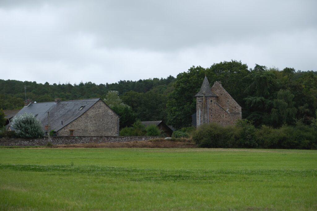 Forêt de Brocéliande et Josselin 4 DSF9316