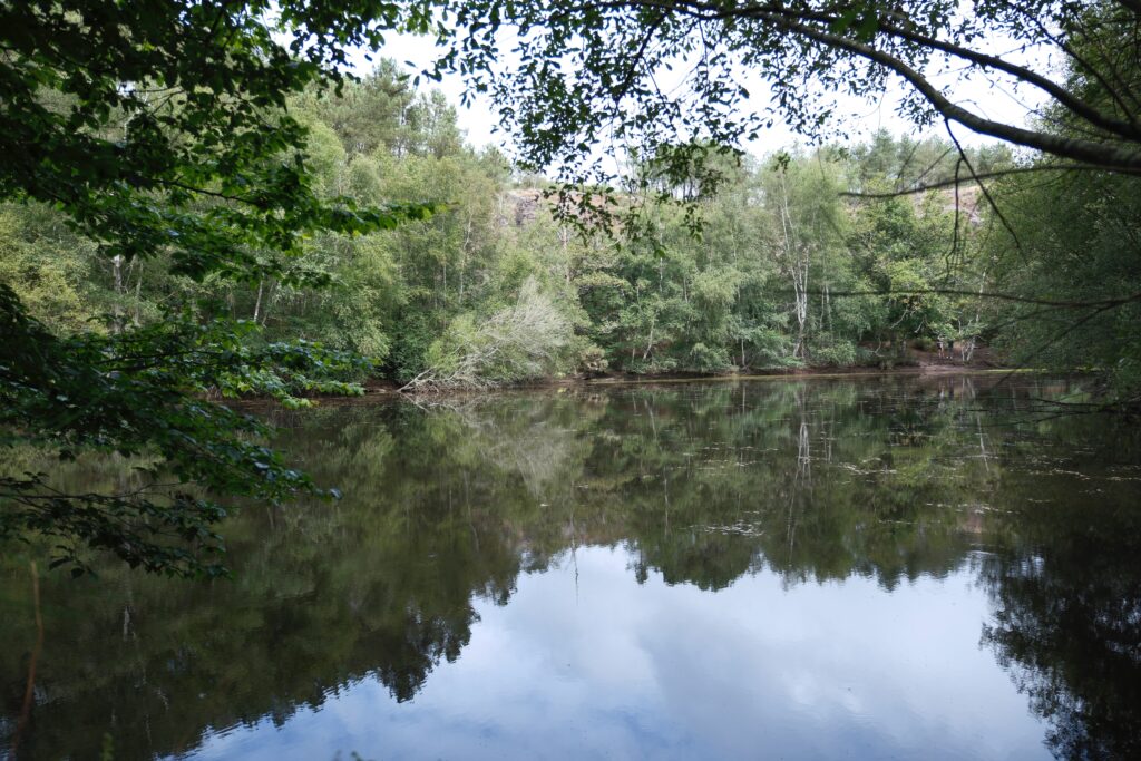 Forêt de Brocéliande et Josselin 8 DSF9341