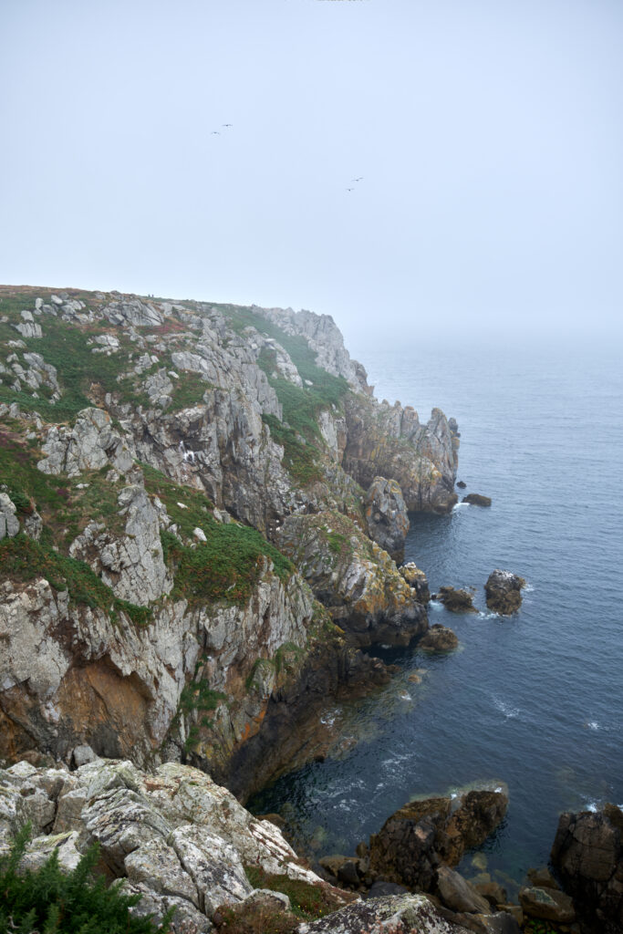 On marche sur les pointes 7 DSF9691 HDR