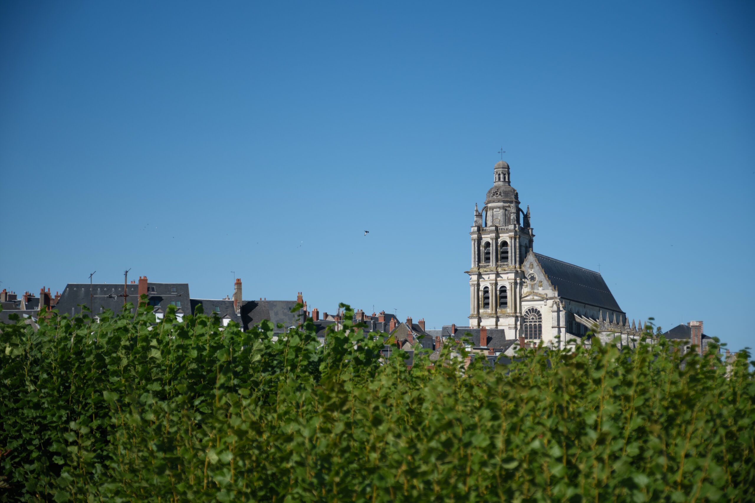 Première étape, Blois avec entre acte à Bourges 9 dsf8790 1 scaled