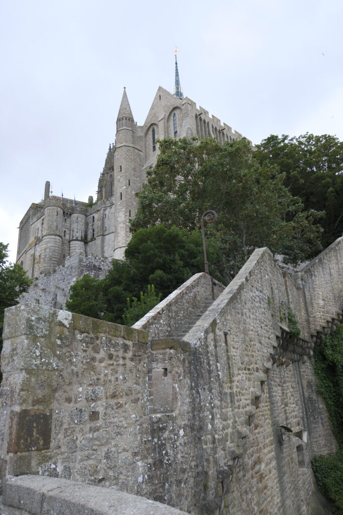 Mont Saint-Michel et la Roche aux Fées : Dernier jour en Bretagne, un adieu entre mystère et magie 8 DSF0625