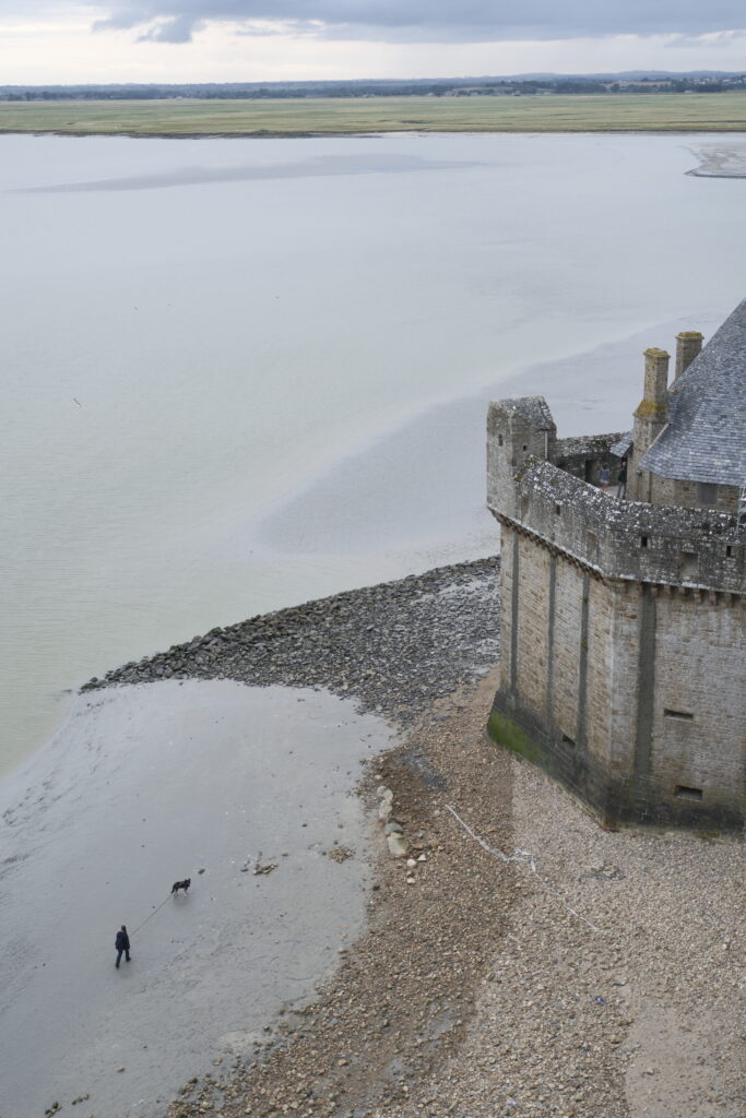 Mont Saint-Michel et la Roche aux Fées : Dernier jour en Bretagne, un adieu entre mystère et magie 7 DSF0629