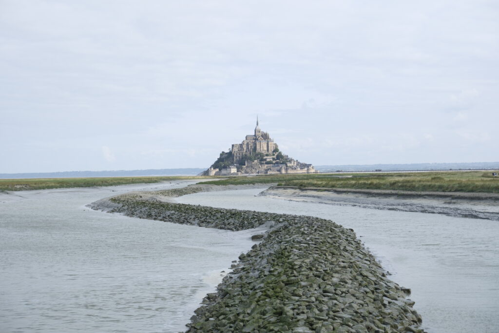 Mont Saint-Michel et la Roche aux Fées : Dernier jour en Bretagne, un adieu entre mystère et magie 9 DSF0675