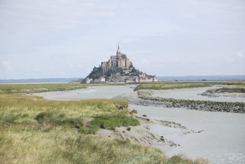 Mont Saint-Michel et la Roche aux Fées : Dernier jour en Bretagne, un adieu entre mystère et magie 2 DSF0696
