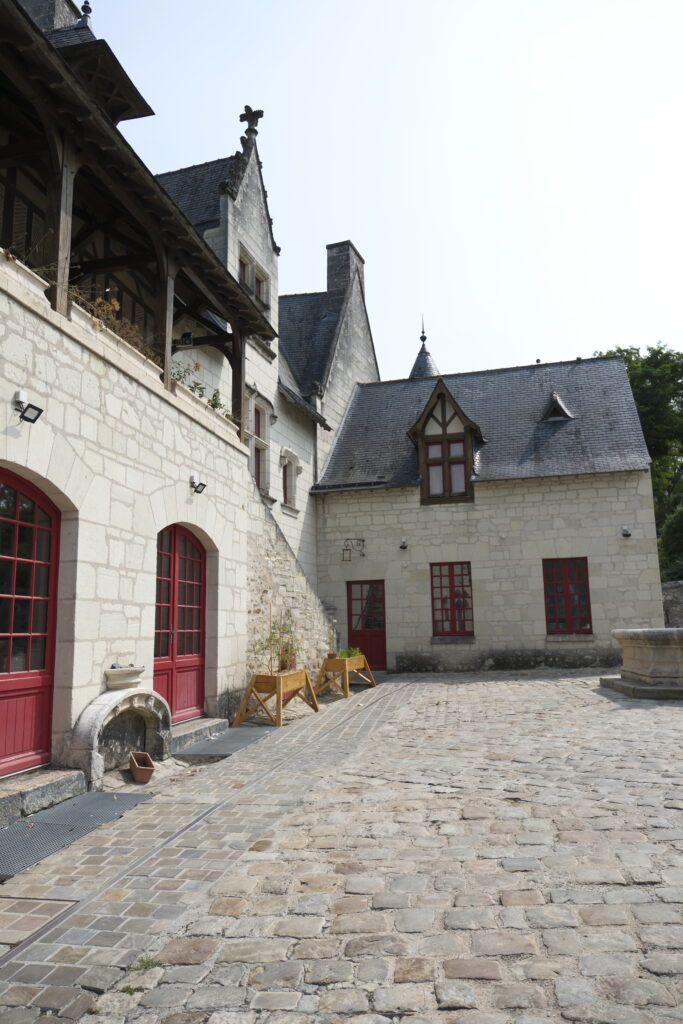 De Saumur au château de la Mothe-Chandeniers : châteaux, pierres et mystères en Val de Loire 9 DSF0795