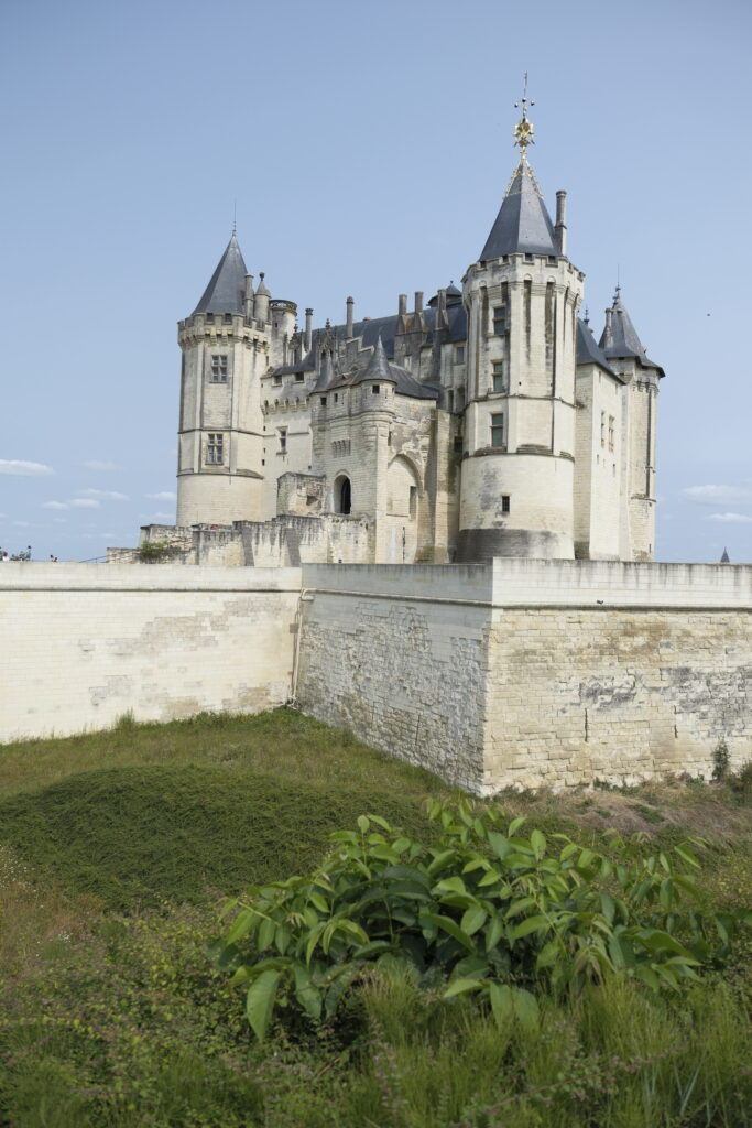 De Saumur au château de la Mothe-Chandeniers : châteaux, pierres et mystères en Val de Loire 8 DSF0797