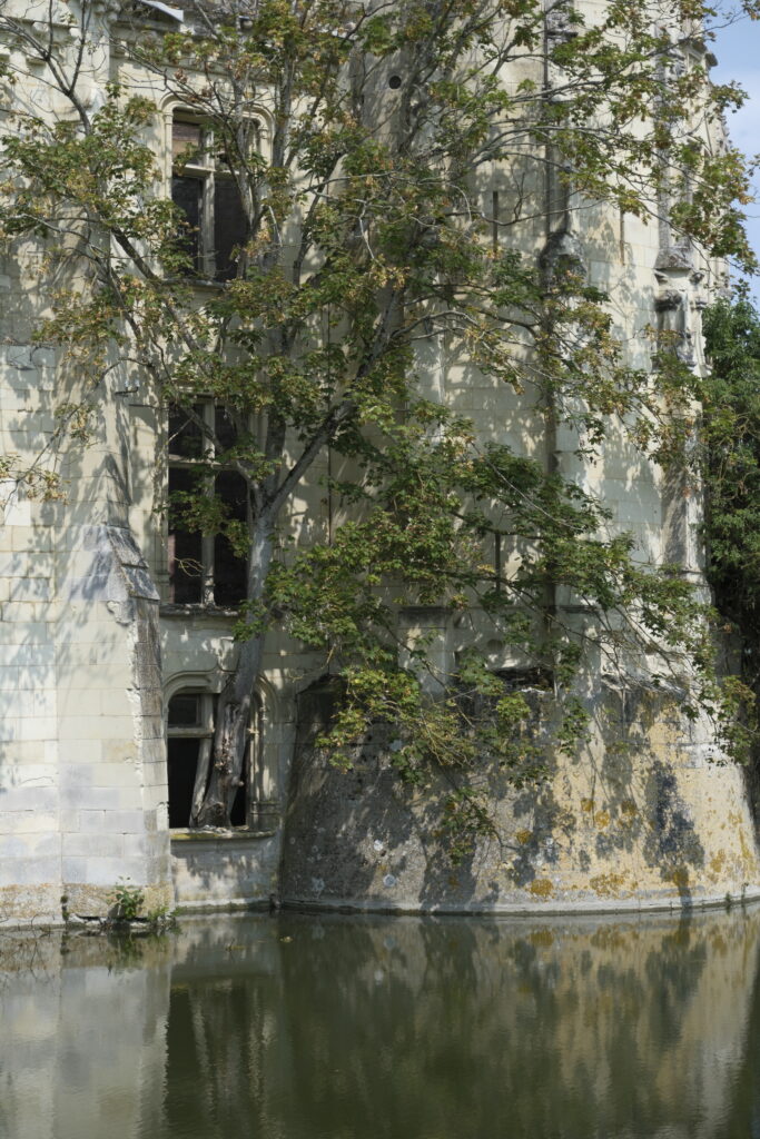 De Saumur au château de la Mothe-Chandeniers : châteaux, pierres et mystères en Val de Loire 20 DSF0829