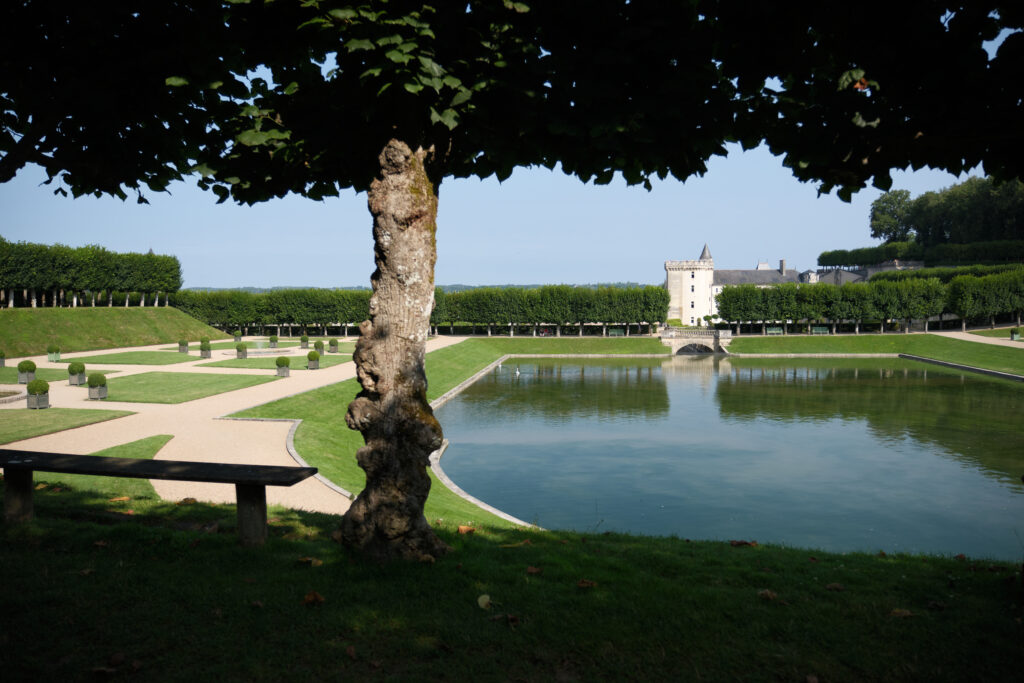 Château de Villandry et ses jardins enchantés 13 DSF0914