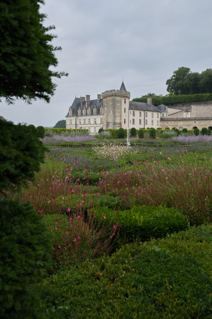 Château de Villandry et ses jardins enchantés 12 DSF1183