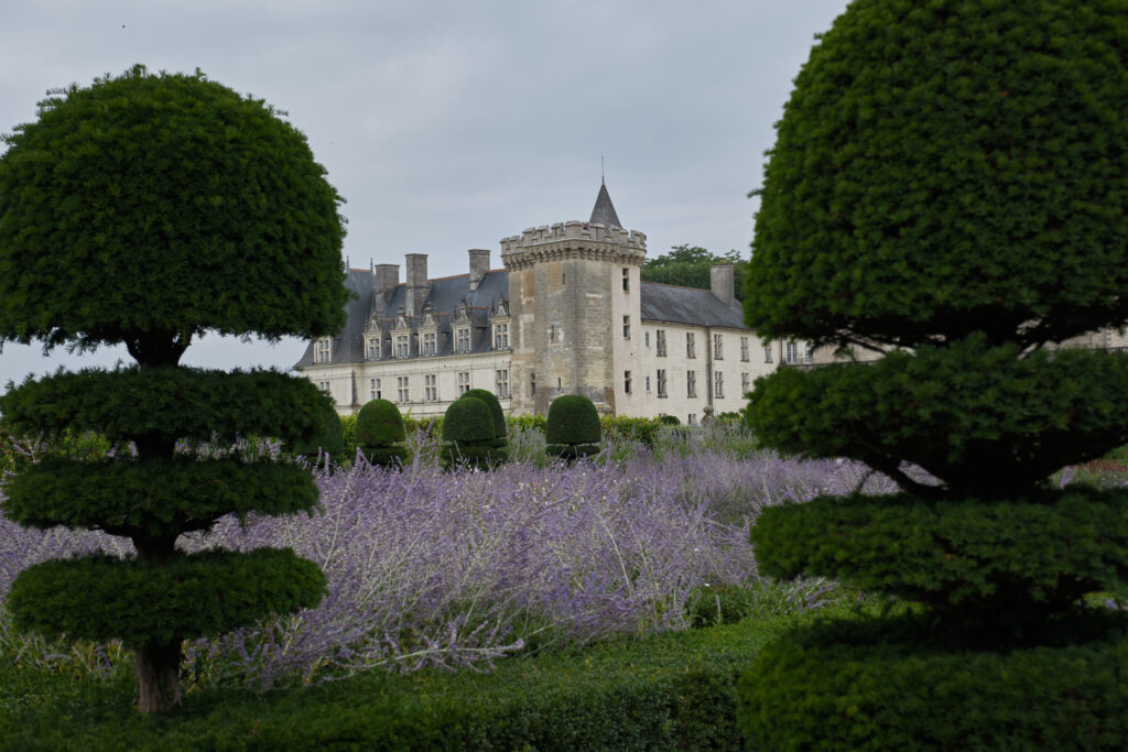 Château de Villandry et ses jardins enchantés 10 DSF1192