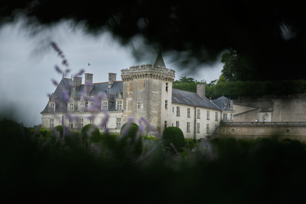 Château de Villandry et ses jardins enchantés 8 DSF1197