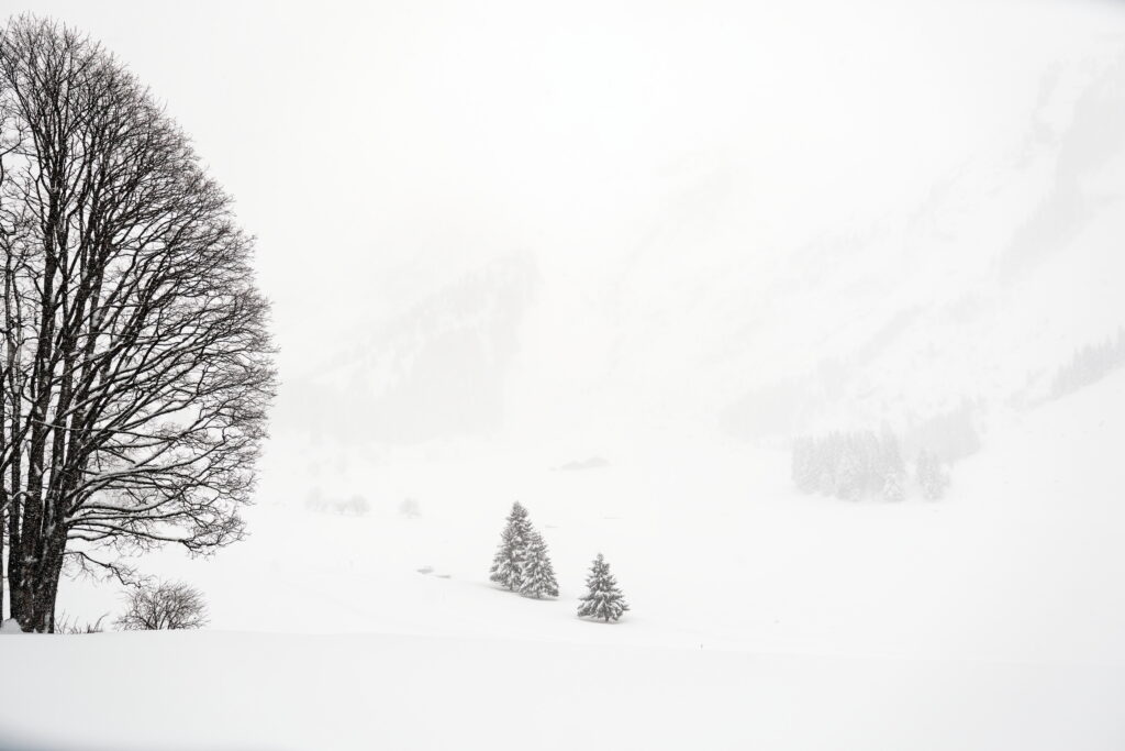 Nouvel An à La Clusaz, Un réveillon entre neige et sommets 13 DSF2534 DxO