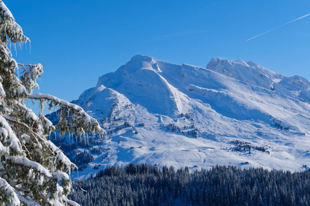 Nouvel An à La Clusaz, Un réveillon entre neige et sommets 17 DSF2559 DxO