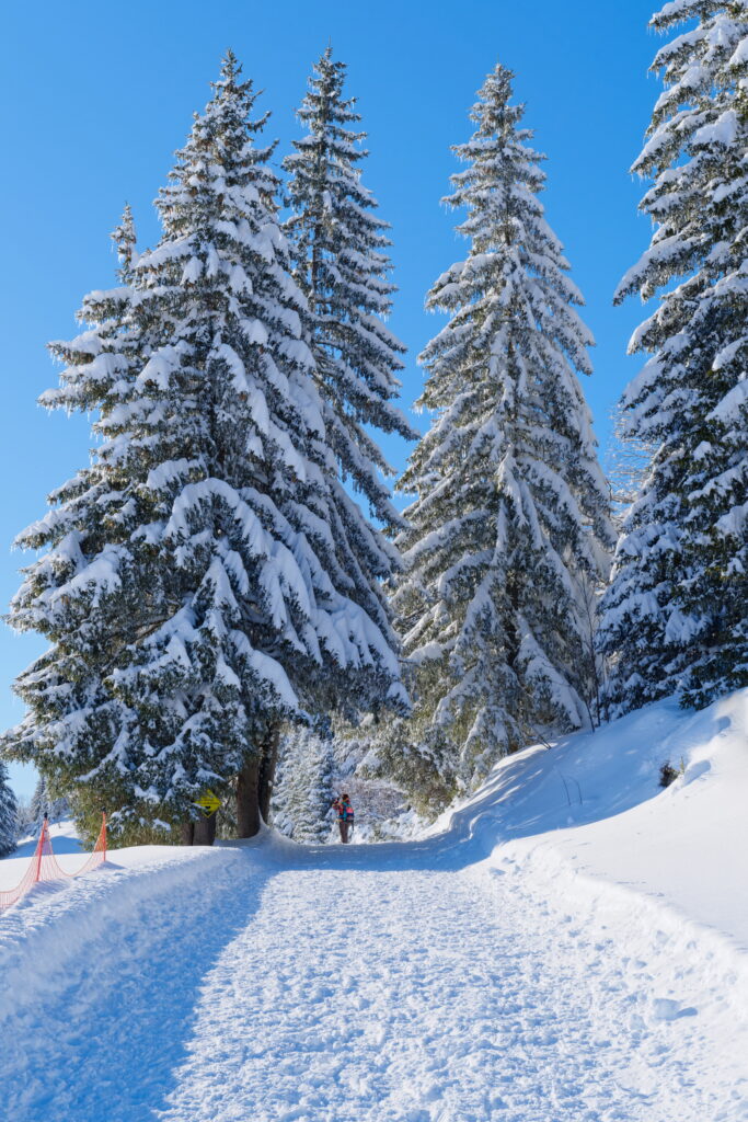 Nouvel An à La Clusaz, Un réveillon entre neige et sommets 12 DSF2565 DxO