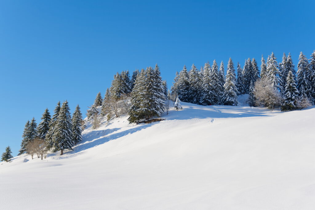 Nouvel An à La Clusaz, Un réveillon entre neige et sommets 9 DSF2590 DxO