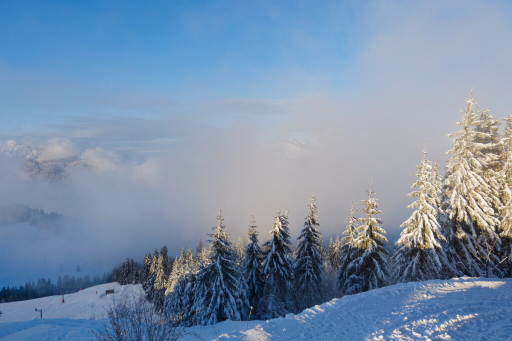Nouvel An à La Clusaz, Un réveillon entre neige et sommets 16 DSF2597 DxO