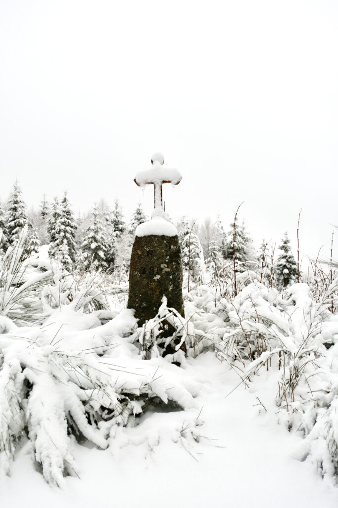 Balade en forêt sous la neige 6 DSF2782