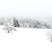 Balade en forêt sous la neige 13 Appareil : X-T5 Focale : 55mm Ouverture : f/4 Vitesse : 1/200sec ISO : ISO-125