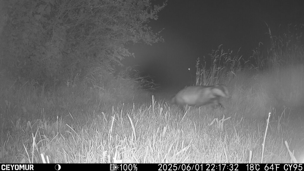 Les animaux du Bois de Quat’sous se sont donnés rendez-vous dans le parc 10 IMG 2595